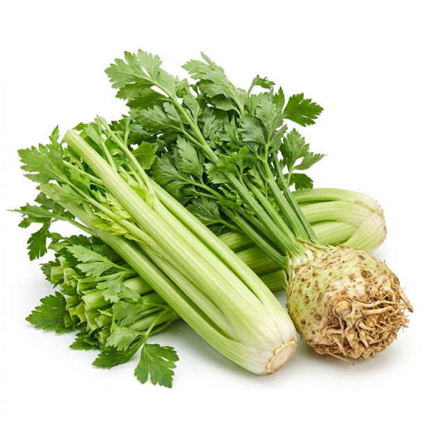frischer sellerie
